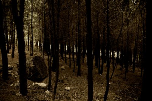 Fotografia de grado1 - Galeria Fotografica: NAturaleza - Foto: 