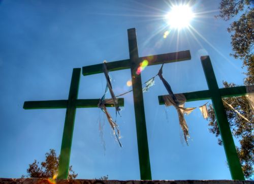 Fotografia de grado1 - Galeria Fotografica: NAturaleza - Foto: 