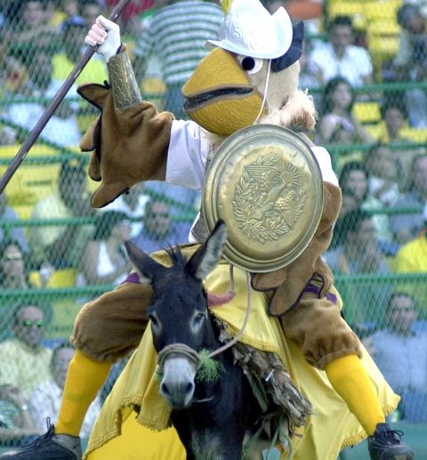 Fotografia de JOSE RODRIGUEZ - Galeria Fotografica: MASCOTA AGUILAS - Foto: 