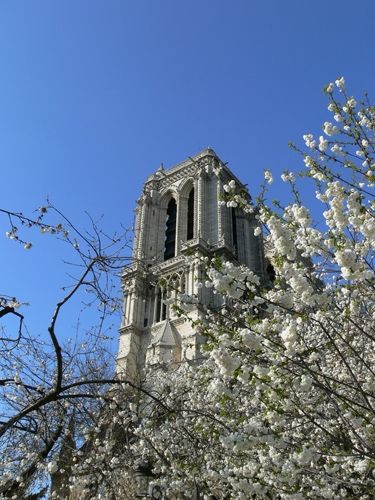 Fotografia de Felipe Martin Garcia - Galeria Fotografica: Urbana - Foto: 