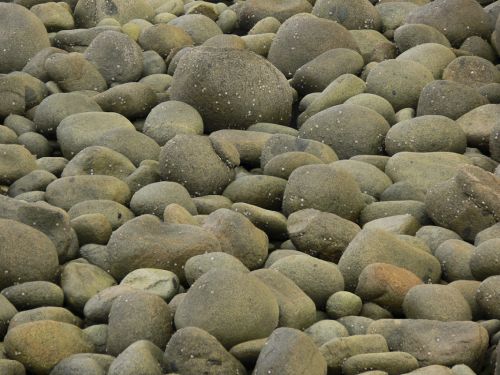 Fotografia de Antonio Herrera - Galeria Fotografica: As R�as Altas - Foto: Malecon del puerto de Bares