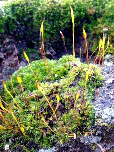 Fotografia de Mira - Galeria Fotografica: Sin titulo - Foto: 