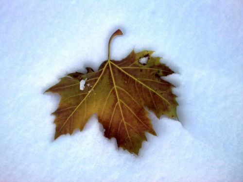 Fotografia de Mira - Galeria Fotografica: Sin titulo - Foto: Soledad