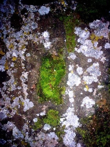 Fotografia de Mira - Galeria Fotografica: Sin titulo - Foto: 