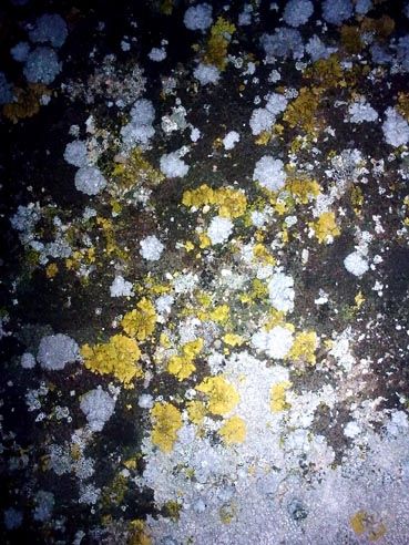 Fotografia de Mira - Galeria Fotografica: Sin titulo - Foto: 