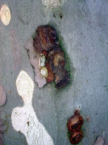 Fotografia de Mira - Galeria Fotografica: Sin titulo - Foto: 