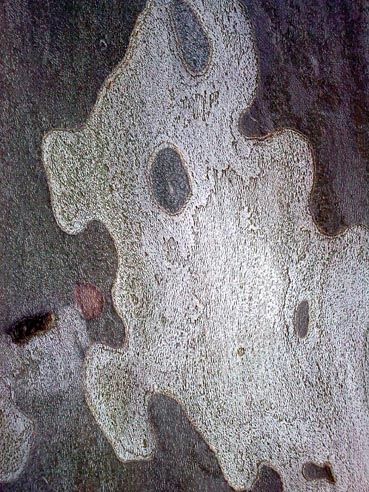 Fotografia de Mira - Galeria Fotografica: Sin titulo - Foto: 