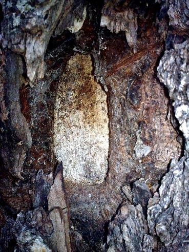 Fotografia de Mira - Galeria Fotografica: Sin titulo - Foto: 