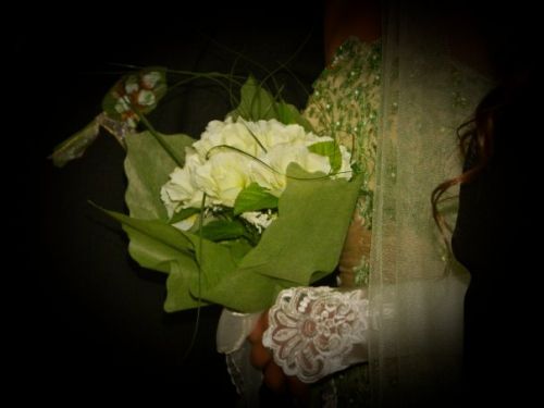 Fotografia de HERNAN ESCALONA - Galeria Fotografica: MUESTRAS - Foto: 