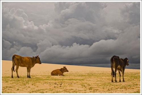 Fotografia de Tato Riquelme - Galeria Fotografica: Paisajes - Foto: 