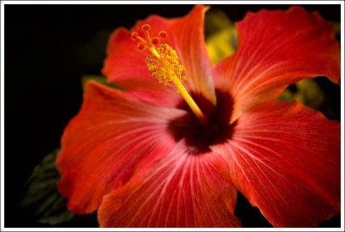 Fotografia de Tato Riquelme - Galeria Fotografica: Paisajes - Foto: 