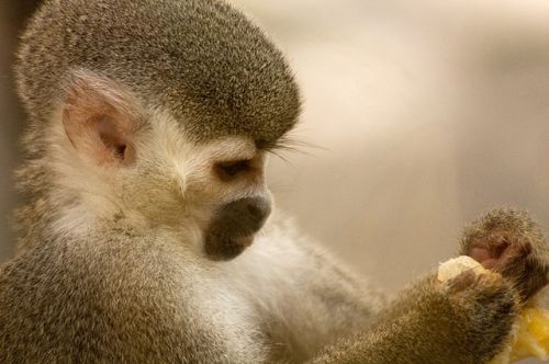 Fotografia de ANDRES MARTINEZ - Galeria Fotografica: PORTAFOLIO - Foto: 