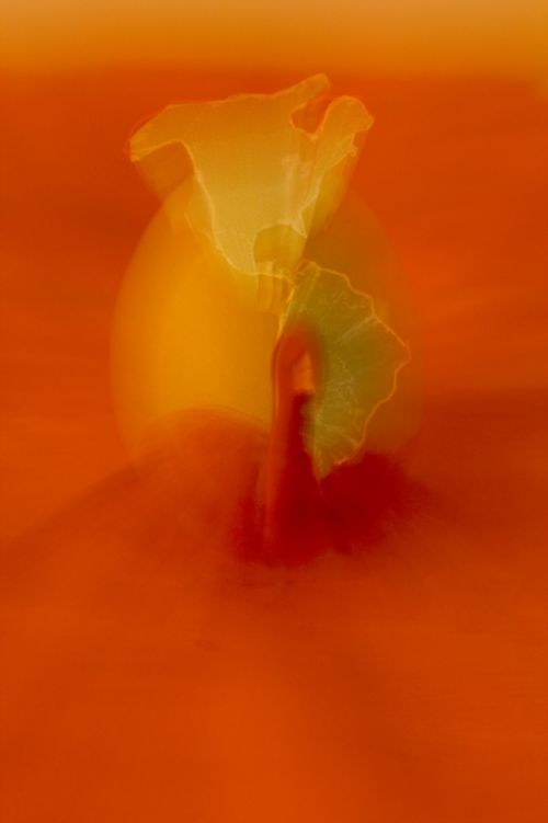 Fotografia de ANDRES MARTINEZ - Galeria Fotografica: PORTAFOLIO - Foto: 