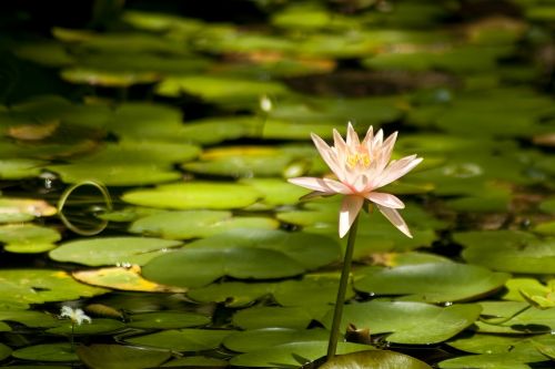 Fotografia de ANDRES MARTINEZ - Galeria Fotografica: PORTAFOLIO - Foto: 