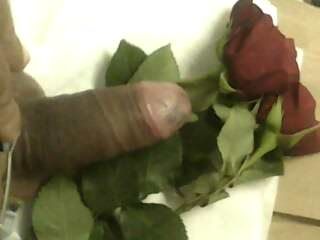 Fotografia de ue sexi  para la chicas j.k.g.t.35@hotmail.com - Galeria Fotografica: que sexi  j.k.g.t.35hotmail.com - Foto: 