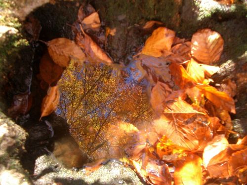 Fotografia de beatriz - Galeria Fotografica: Reflejos - Foto: Reflejos I