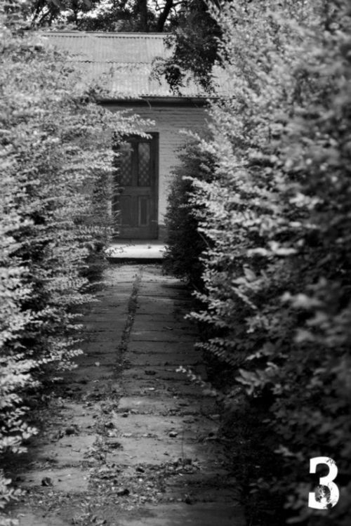 Fotografia de tr3s Saltos Producciones Fotograficas - Galeria Fotografica: Ferrovidas - Foto: Museo del Museo