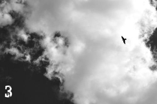 Fotografia de tr3s Saltos Producciones Fotograficas - Galeria Fotografica: Ferrovidas - Foto: Libertad