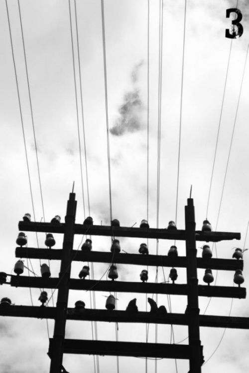 Fotografia de tr3s Saltos Producciones Fotograficas - Galeria Fotografica: Ferrovidas - Foto: 