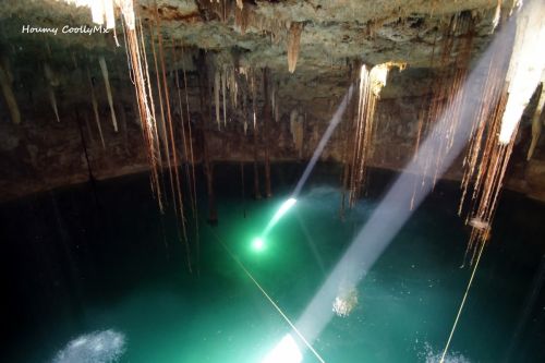 Fotografia de Houmy - Galeria Fotografica: Belleza del Inframundo  - Foto: 