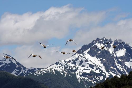 Fotografia de c3 - Galeria Fotografica: Patagonia - Foto: Ruta de siete lagos camino a Angostura