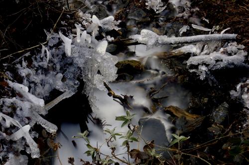 Fotografia de santi castro - Galeria Fotografica: Rinconcito cataln - Foto: pero ella sigue...