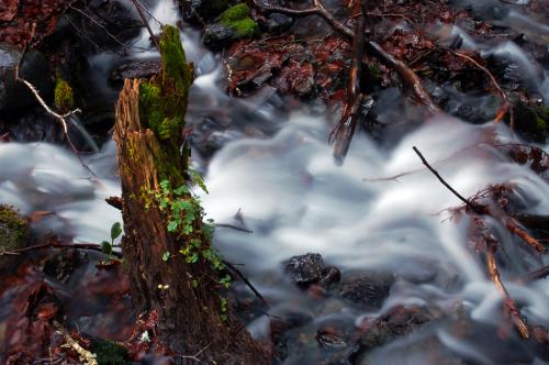 Fotografia de santi castro - Galeria Fotografica: Rinconcito catal�n - Foto: siempre tan viva...