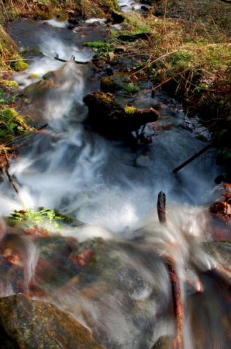 Fotografia de santi castro - Galeria Fotografica: Rinconcito cataln - Foto: sufre