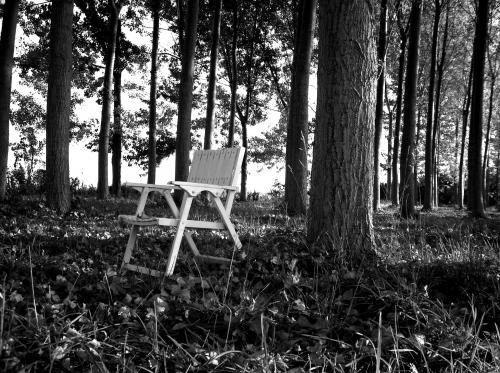 Fotografia de Marta Ses Fuentes - Galeria Fotografica: Quitando color... - Foto: Sola y vaca