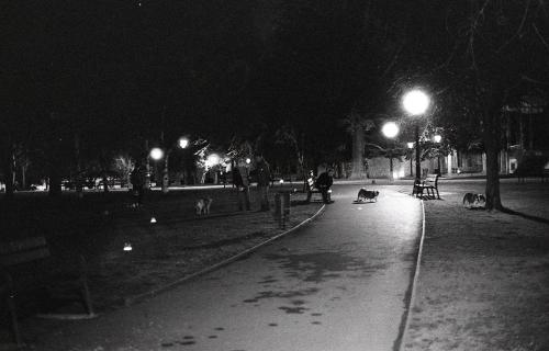 Fotografia de Patri - Galeria Fotografica: TMax 3200 - Foto: 4