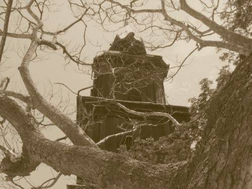 Fotografia de JORGE SALIM - Galeria Fotografica: COLONCHE - Foto: 