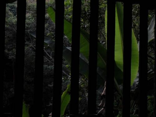 Fotografia de ARMANDO - Galeria Fotografica: PRINCIPIOS - Foto: 