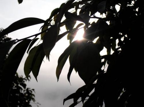 Fotografia de ARMANDO - Galeria Fotografica: PRINCIPIOS - Foto: 