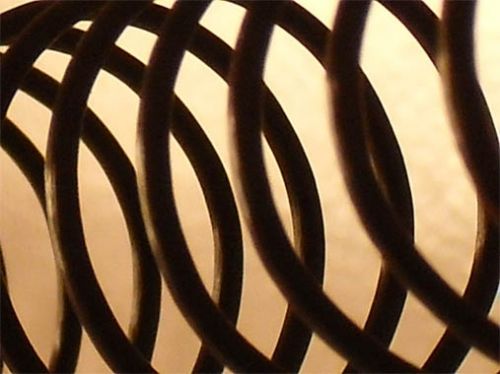 Fotografia de ARMANDO - Galeria Fotografica: PRINCIPIOS - Foto: 