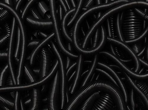 Fotografia de ARMANDO - Galeria Fotografica: PRINCIPIOS - Foto: 