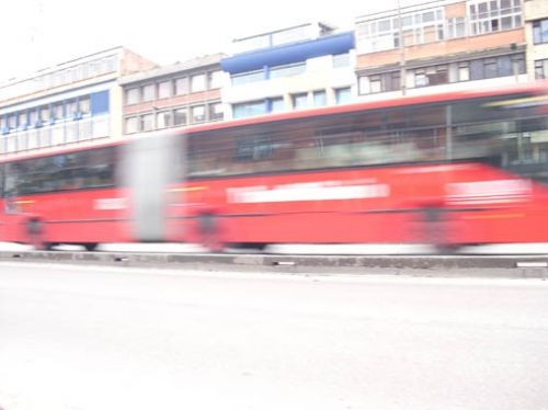 Fotografia de ARMANDO - Galeria Fotografica: PRINCIPIOS - Foto: 