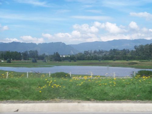 Fotografia de aurama - Galeria Fotografica: paisaje sabana - Foto: 