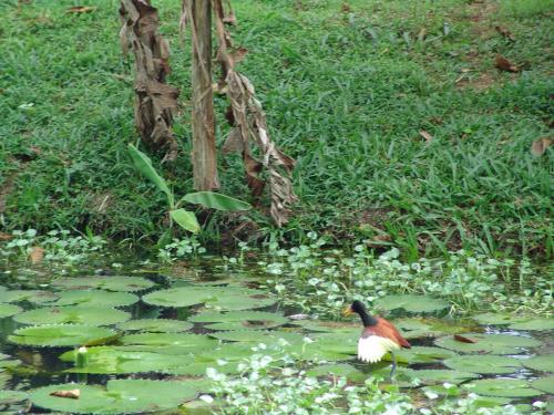 Fotografia de alex vianello - Galeria Fotografica: minhas fotos - Foto: um pouco de mim para voces