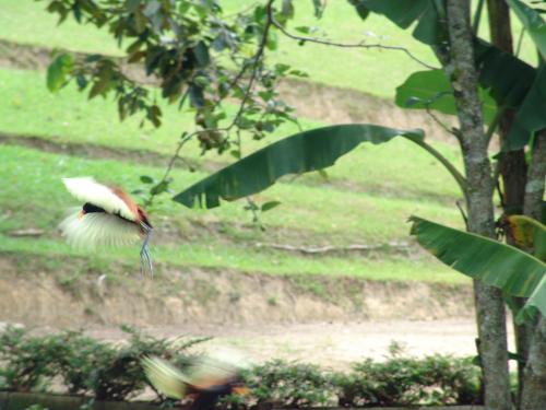 Fotografia de alex vianello - Galeria Fotografica: minhas fotos - Foto: 