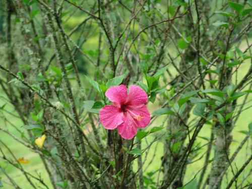 Fotografia de alex vianello - Galeria Fotografica: minhas fotos - Foto: sorriso quanto tempo sem expressa-lo