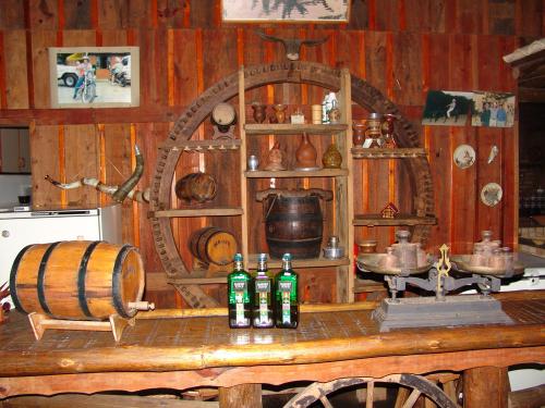 Fotografia de alex vianello - Galeria Fotografica: minhas fotos - Foto: ser vivo