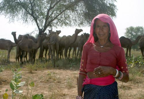 Fotografia de JEXUX - Galeria Fotografica: INDIA - Foto: MUJER Y CAMELLOS