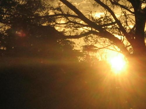 Fotografia de lost - Galeria Fotografica: paisajes y otros pastos - Foto: Atardecer en Iguazu