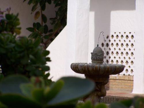 Fotografia de Oscar - Galeria Fotografica: Primeros exitos a color. - Foto: Fuente