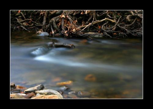 Fotografia de Catalin Alexandru - Galeria Fotografica: Selectii natura - Foto: Agua