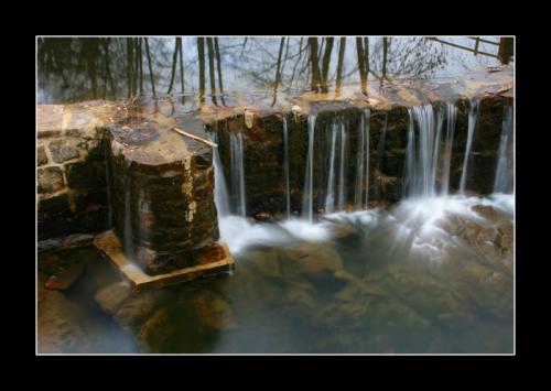 Fotografia de Catalin Alexandru - Galeria Fotografica: Selectii natura - Foto: Libre