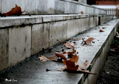 Fotografia de Marta Ses Fuentes - Galeria Fotografica: Transmitiendo sensaciones - Foto: Recuerdos de Otoo