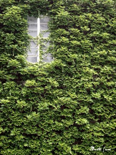 Fotografia de Marta Ses Fuentes - Galeria Fotografica: Transmitiendo sensaciones - Foto: Consumida