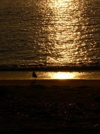 Fotografia de David - Galeria Fotografica: Utopias al amanecer - Foto: 