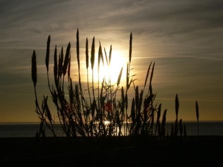 Fotografia de David - Galeria Fotografica: Utopias al amanecer - Foto: 